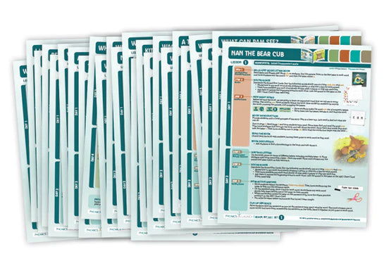 Phonics Launch Ready, Set, Go Kit 1