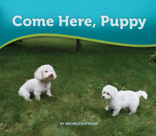 Come Here, Puppy