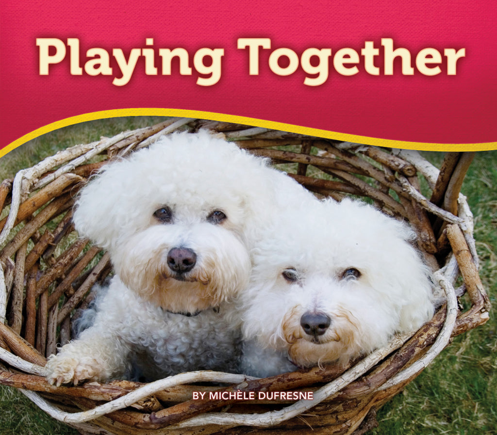 Play with Me – Pioneer Valley Books