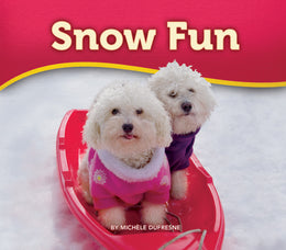Snow Fun