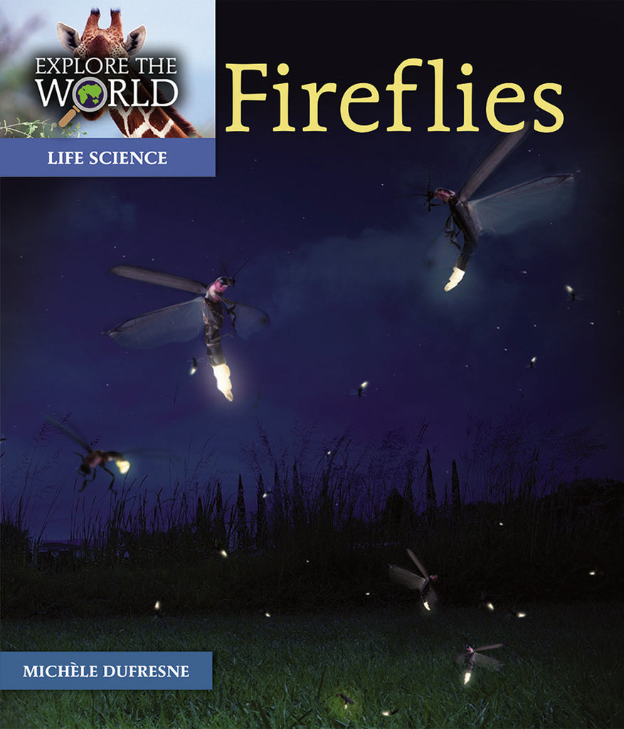 Fireflies in the Night (Let's-Read-and-Find-Out Science 1)