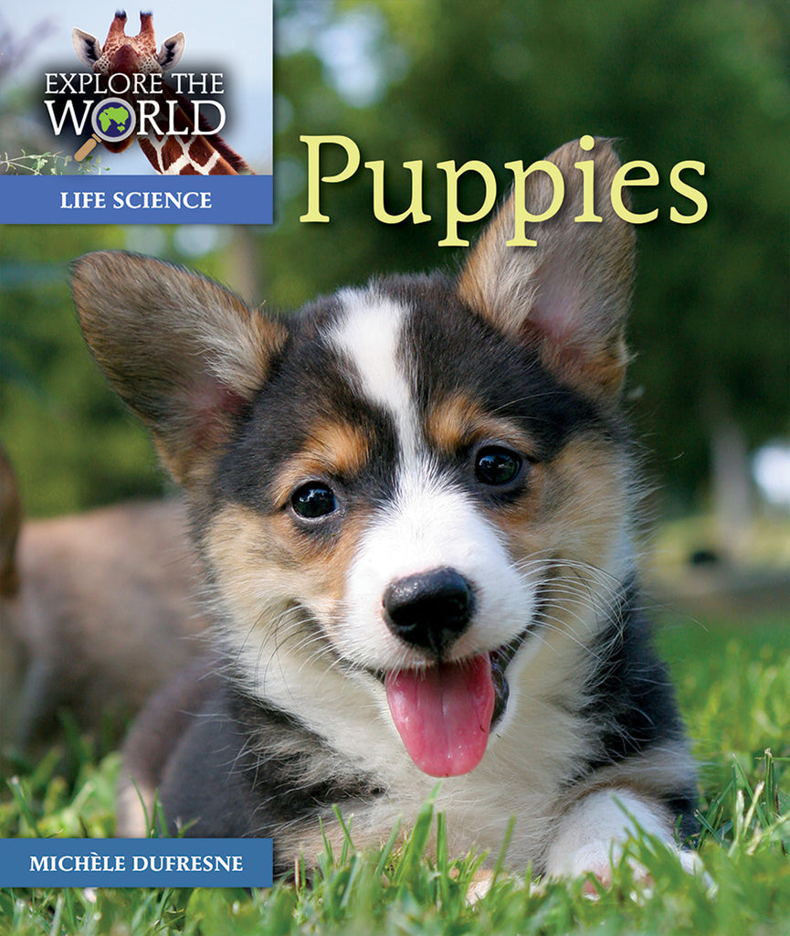 Puppies – Pioneer Valley Books