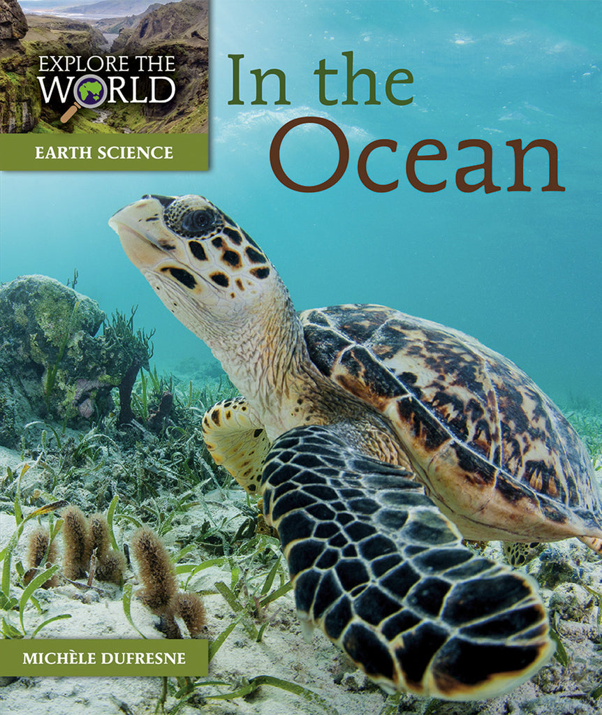 ETW-I13_1024x1024.jpg?v=1540583253