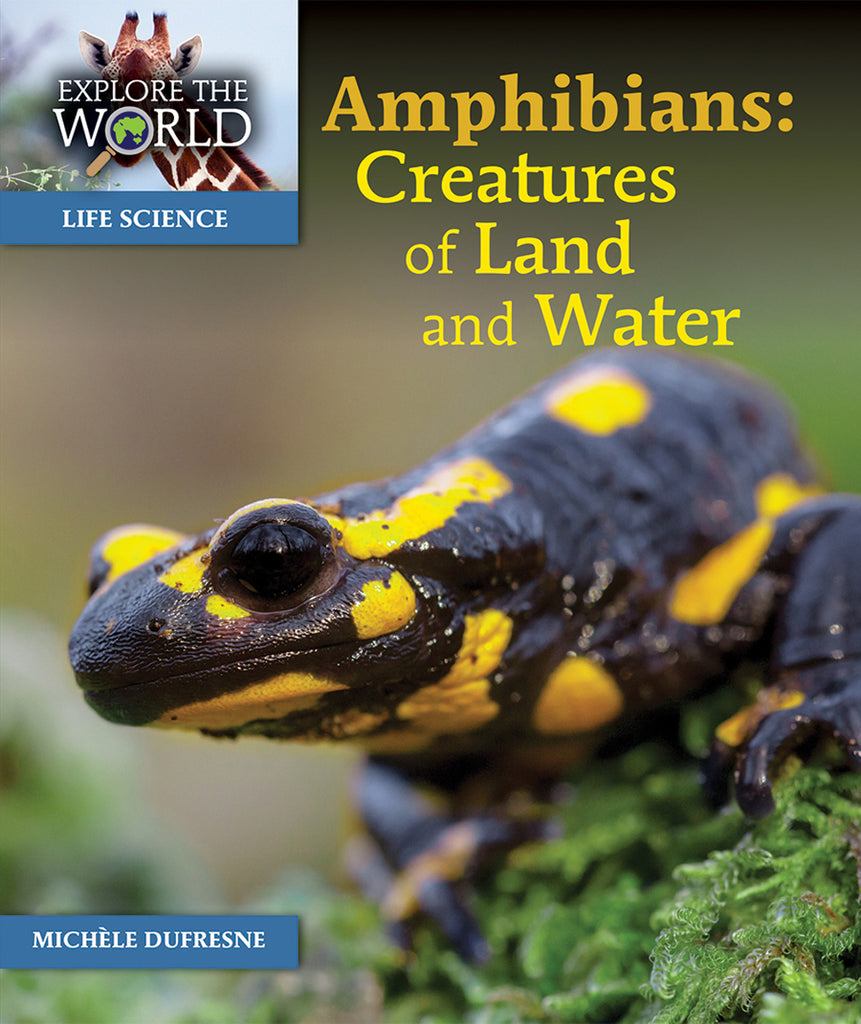 Amphibians: Creatures of Land and Water – Pioneer Valley Books