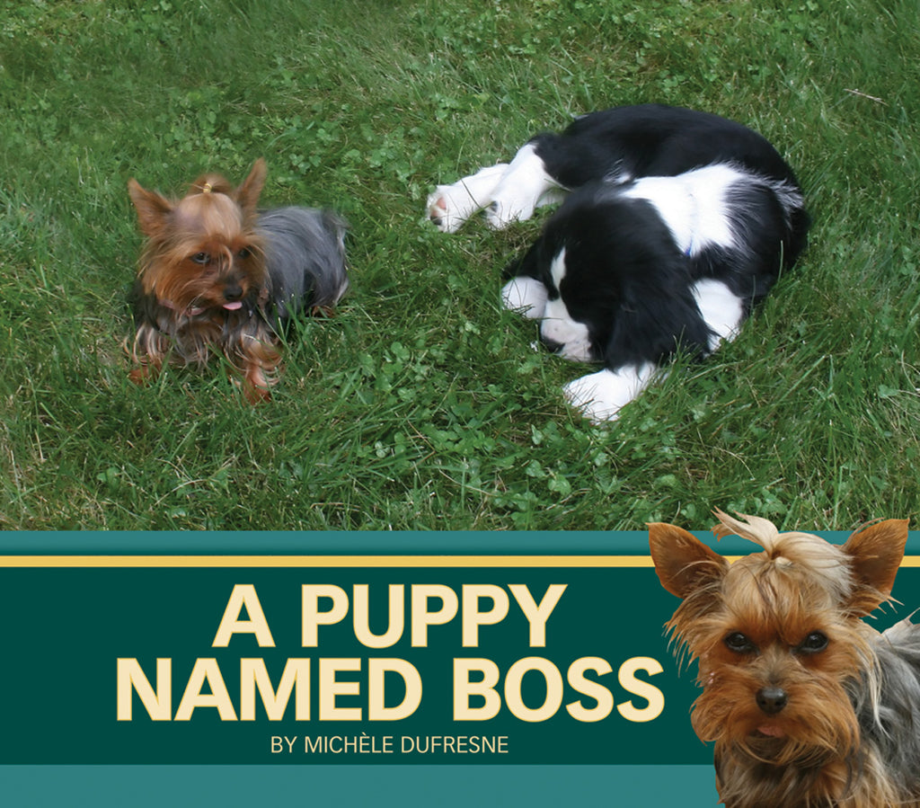 A Puppy Named Boss – Pioneer Valley Books