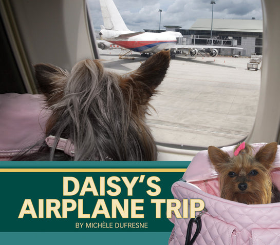 Daisy's Airplane Trip