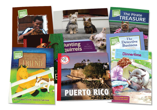 Classroom Library Level I – Pioneer Valley Books