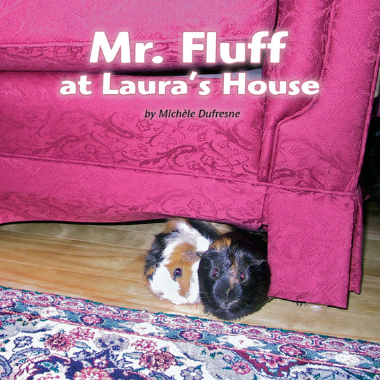 Mr. Fluff at Laura's House