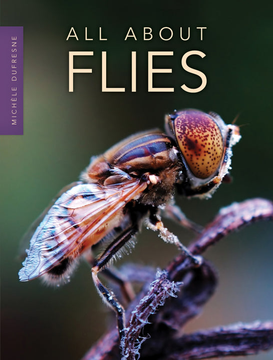 All About Flies