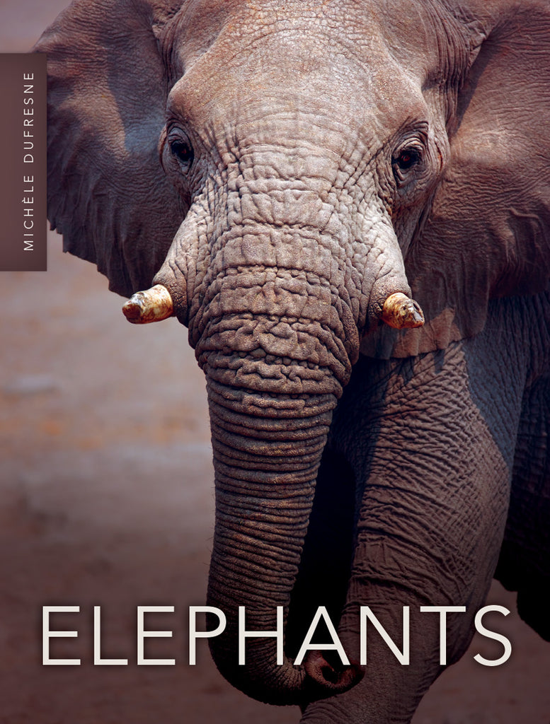 その他 Elephant brand Elephants – Pioneer Valley Books