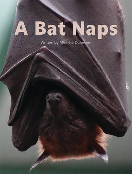 A Bat Naps