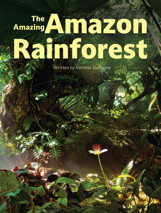 The Amazing Amazon Rainforest