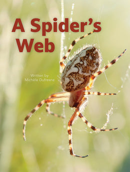 A Spider's Web