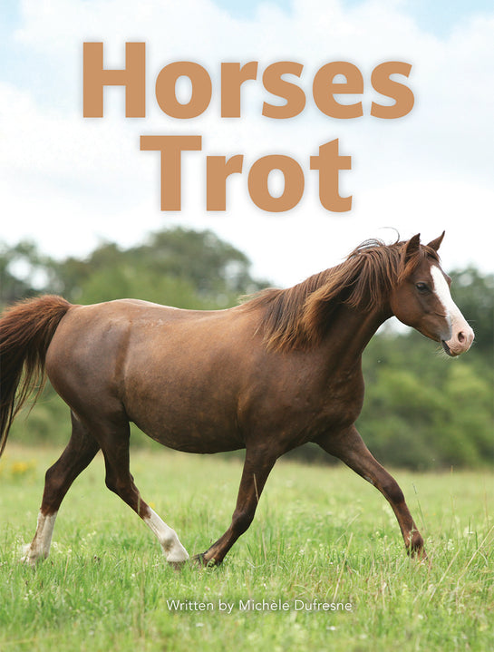 Horses Trot