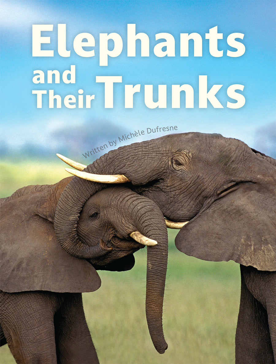 Elephants and Their Trunks – Pioneer Valley Books