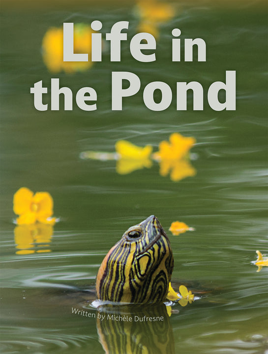 Life in the Pond