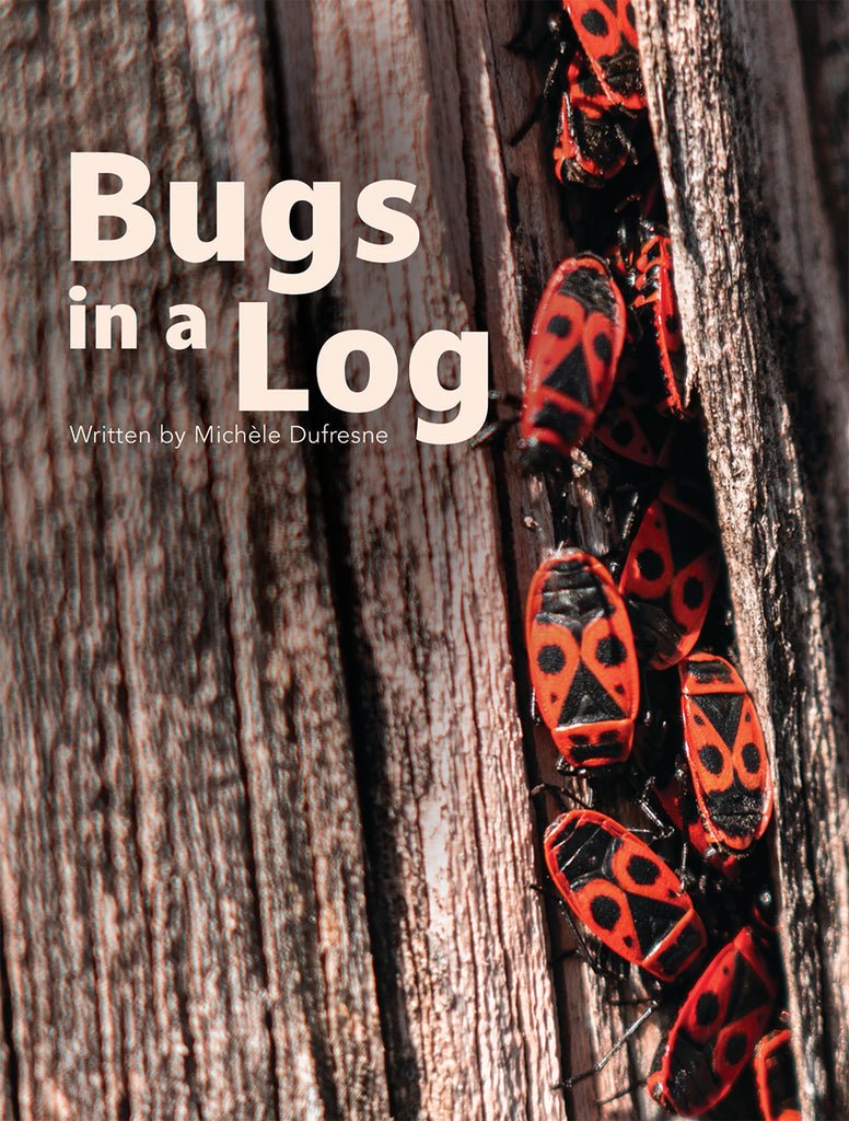 Bugs in a Log – Pioneer Valley Books