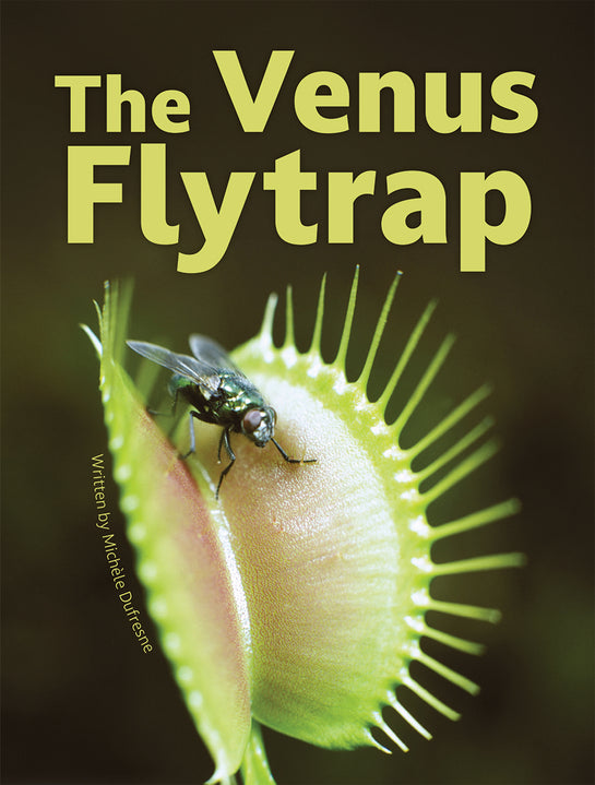 The Venus Flytrap
