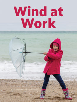 Wind at Work