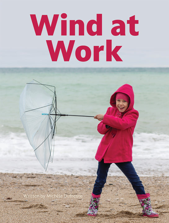 Wind at Work