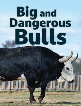 Big and Dangerous Bulls