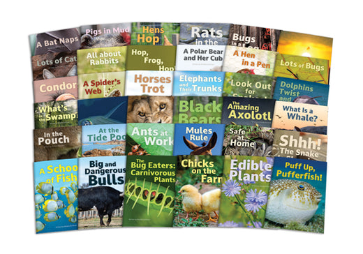 InfoCodables: Decodable Nonfiction