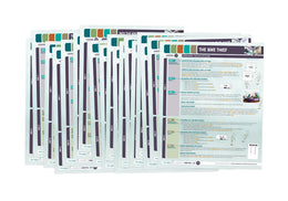 Phonics Launch Orbiting Lesson Plans Set 1