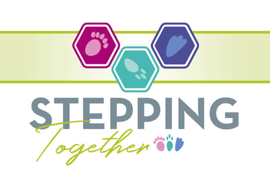 Stepping Together Picture Cards Box Set
