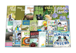 UFLI Text Guide: Decodable First Grade Bundle, 2nd Edition