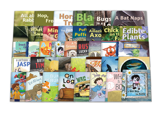 UFLI Text Guide: Decodable K–2 Bundles