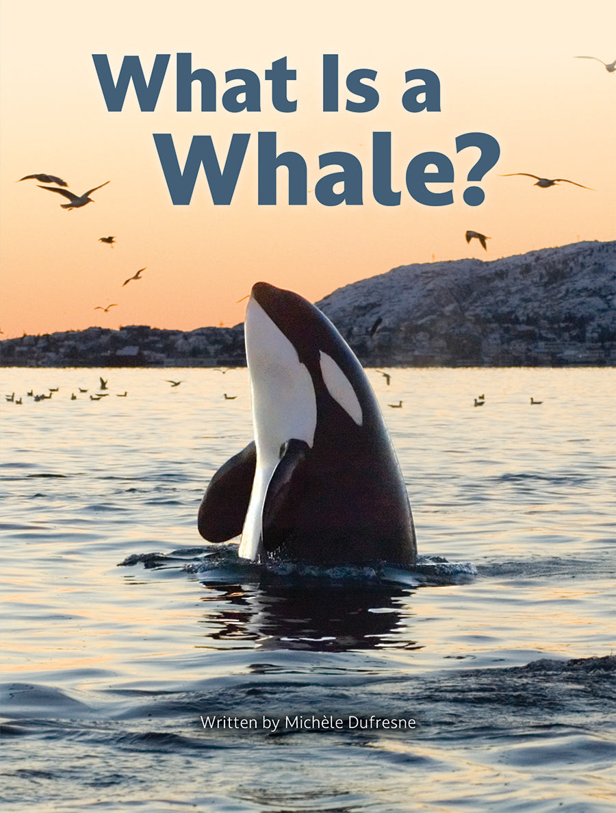 [美品] Polyphonic Whale What Is a Whale? – Pioneer Valley Books