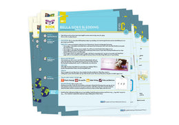 Literacy Footprints Book Closet Lesson Plans, Level C (Set One)