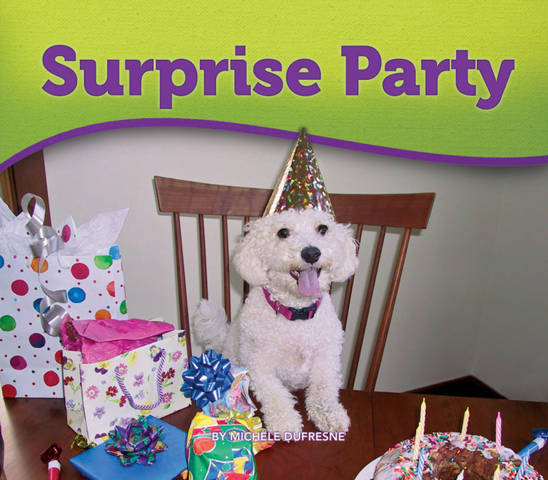 –　Party　Surprise　Books　Pioneer　Valley