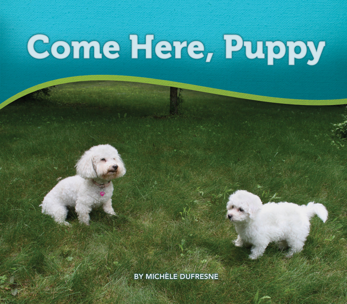 Puppyページです。 BR33.jpg?v=1540578198