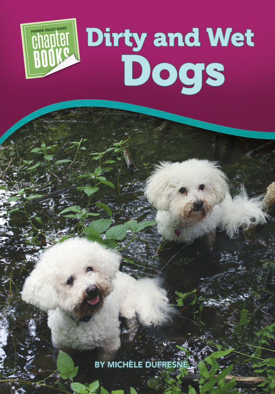 Dirty and Wet Dogs