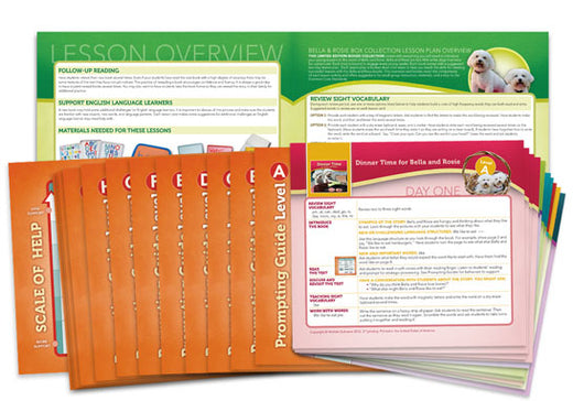 Lesson Cards