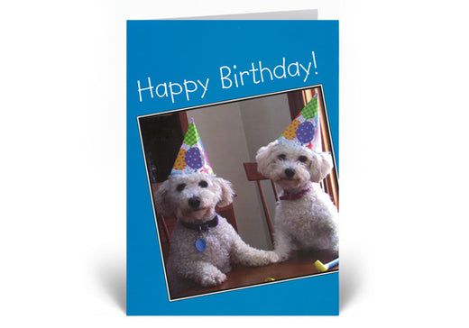 Celebration Cards