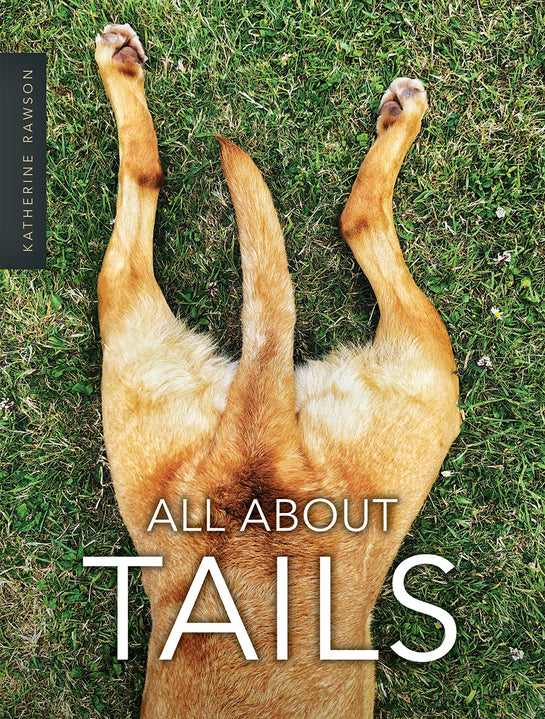 All about Tails