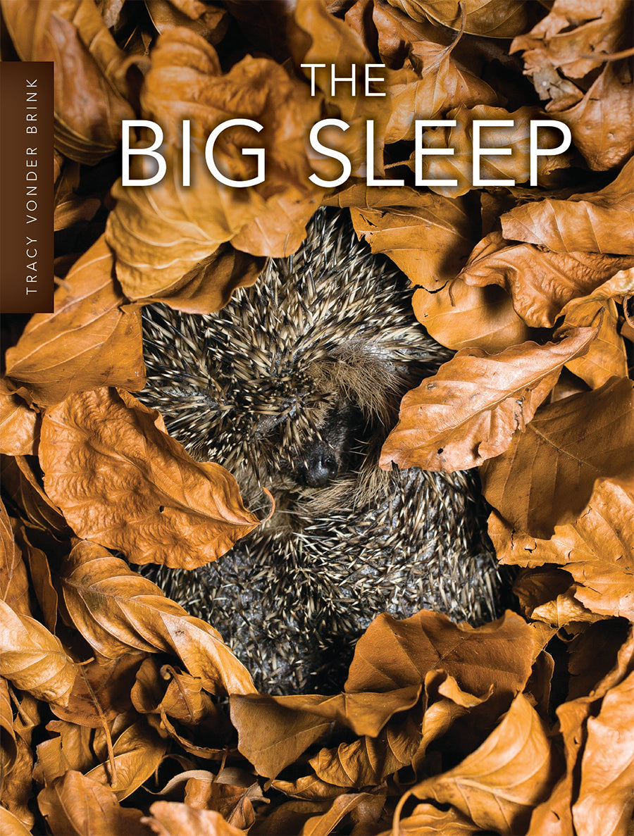 The Big Sleep – Pioneer Valley Books