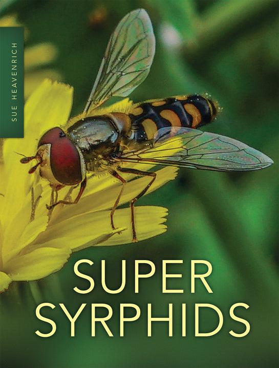 Super Syrphids