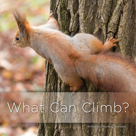 Lap Book: What Can Climb?