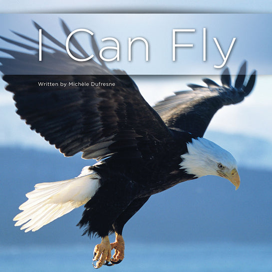 Lap Book: I Can Fly