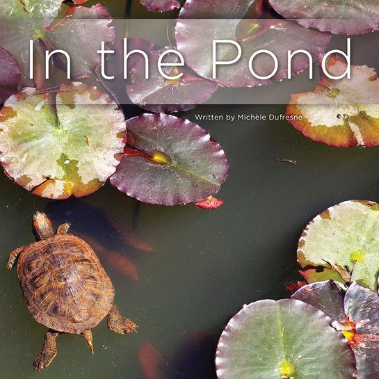 Lap Book: In The Pond