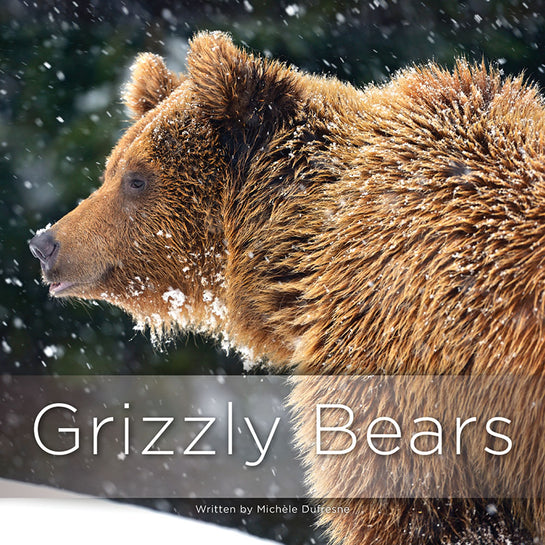 Lap Book: Grizzly Bears
