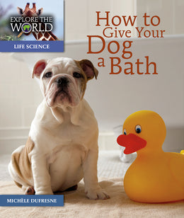 How to Give Your Dog a Bath