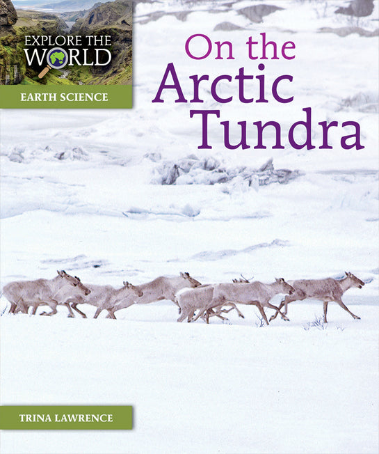 On the Arctic Tundra