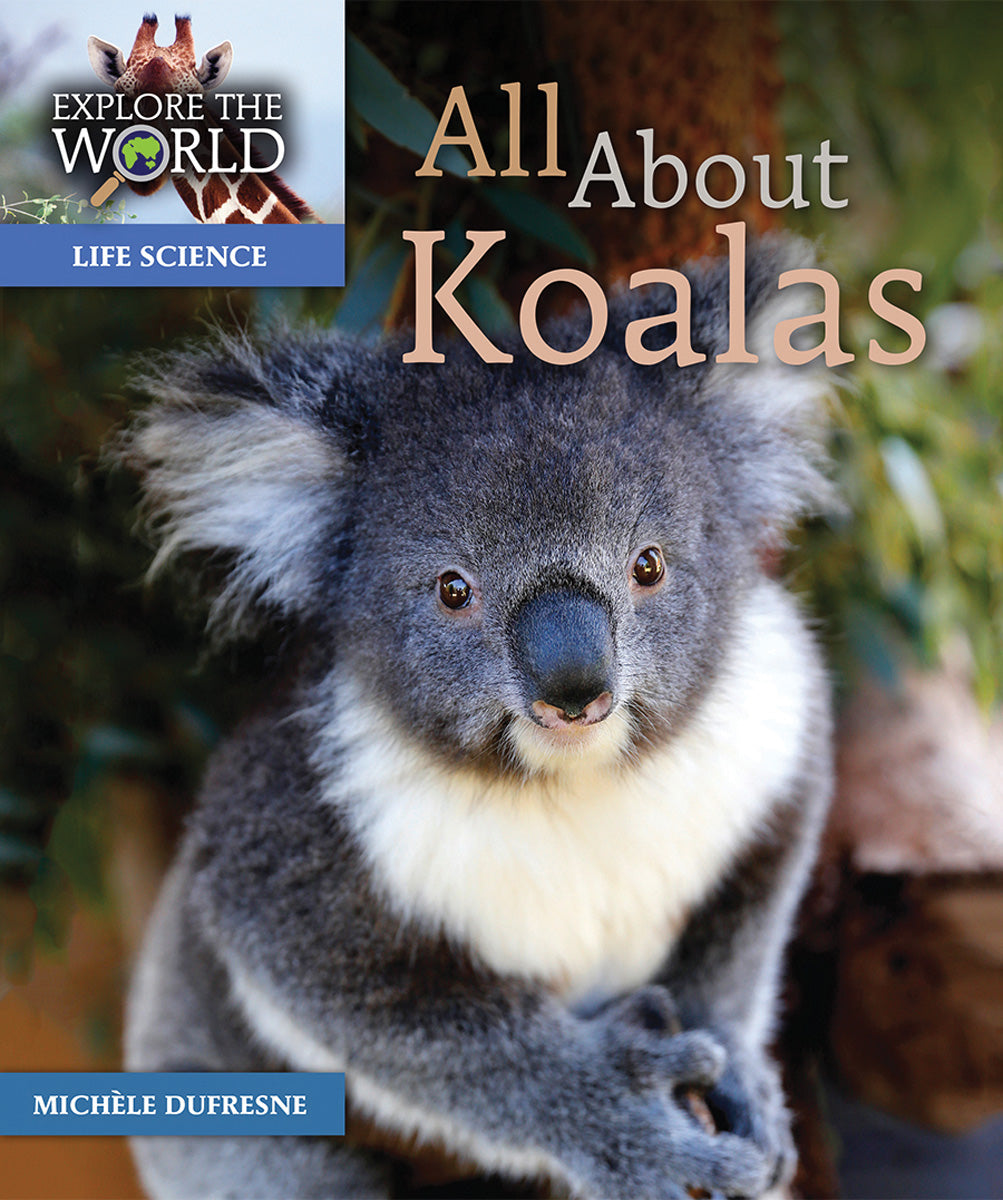 All About Koalas – Pioneer Valley Books