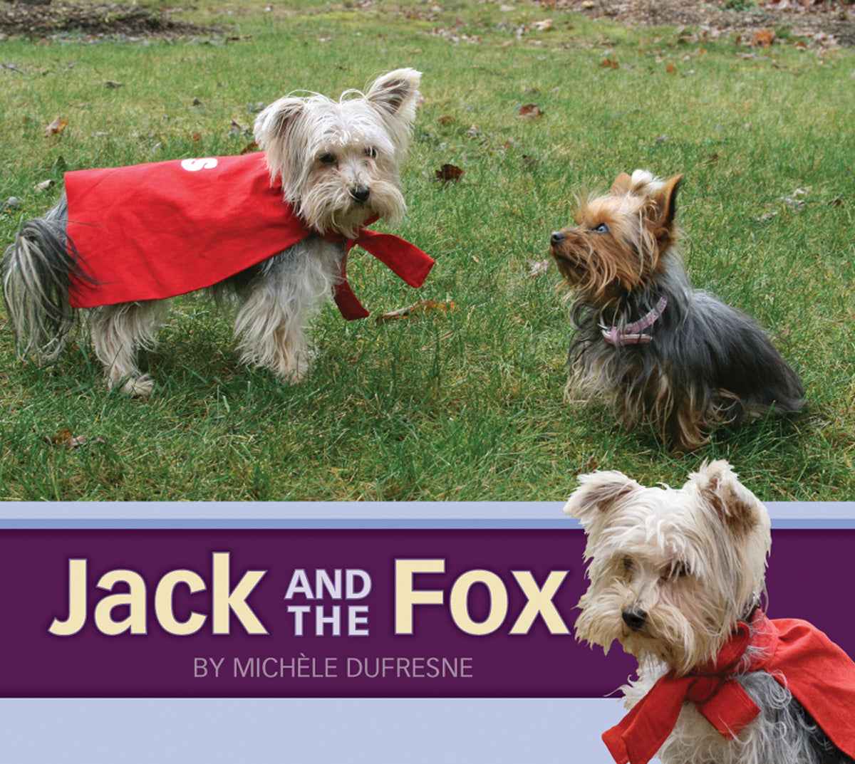 Jack and the Fox – Pioneer Valley Books