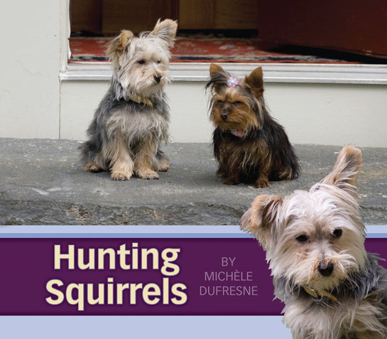 Hunting Squirrels