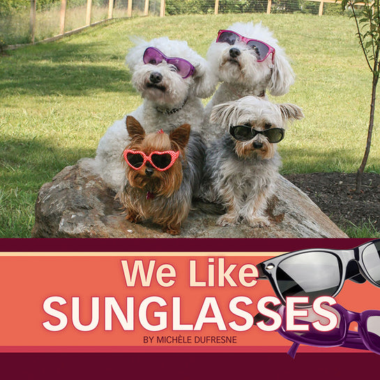 Lap Book: We Like Sunglasses